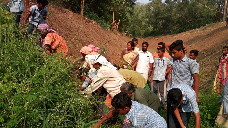 പ്രമാണം:36037 seed22.jpeg