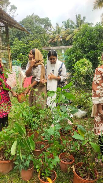 പ്രമാണം:42061 651.jpeg