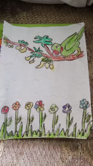 44023-TVM-KUNJ-VAIGA S.jpg