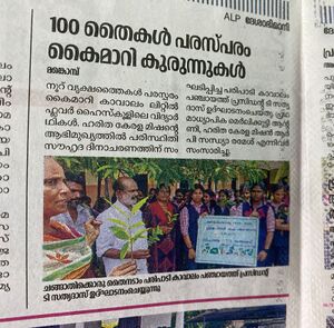 46038 changathikorumaram.jpg