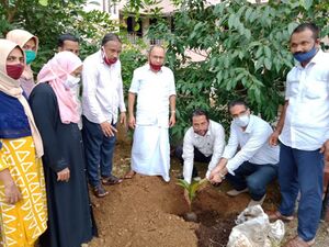 47045-envrnmnt 20.jpeg