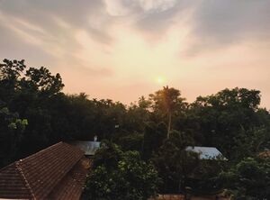 Gramam panthalayani.jpeg