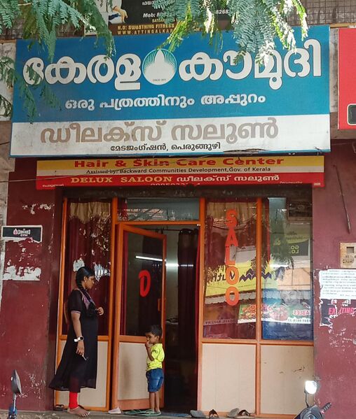 പ്രമാണം:Image 1.42332.jpeg