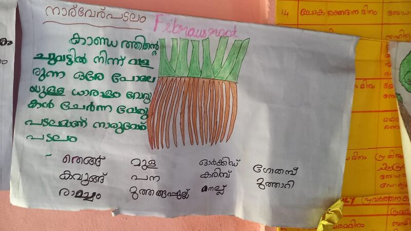 പ്രമാണം:Root14359.jpg