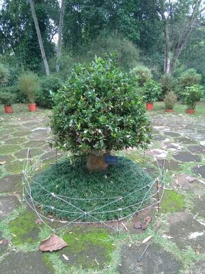 WhatsApp Image 2018-11-19 at 6.43.10 PM(1).jpeg