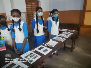 22046 social sastra1.jpg