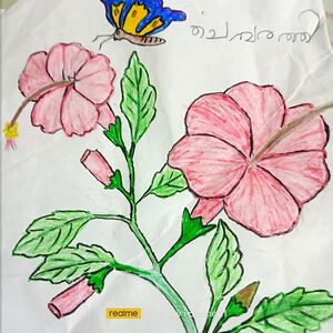 22453-TSR-KUNJ-ETHAN SAHOR.jpg