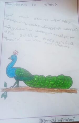 23519-TSR-KUNJ-ANAGHA A S.jpeg