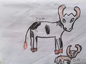 26105-EKM-KUNJ-MOHAMMED NAIF K N(1).jpg