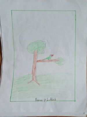 29040-IDK-KUNJ-PRANAV P LATHEESH.jpeg