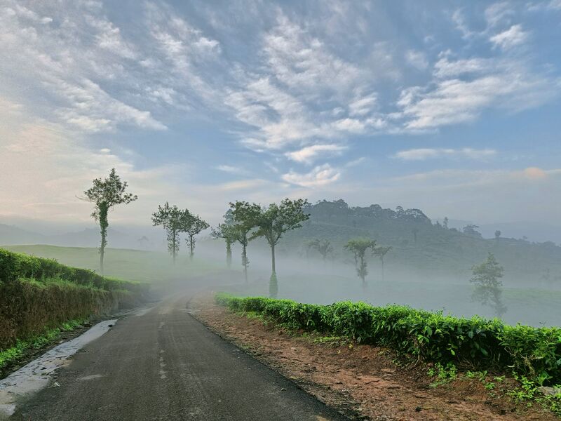 പ്രമാണം:30035 mlamala .jpg