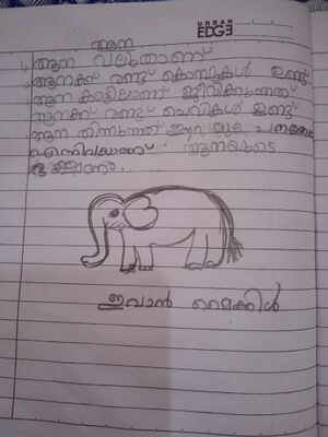 31526-KTM-KUNJ-EVAN MICHAEL.jpg