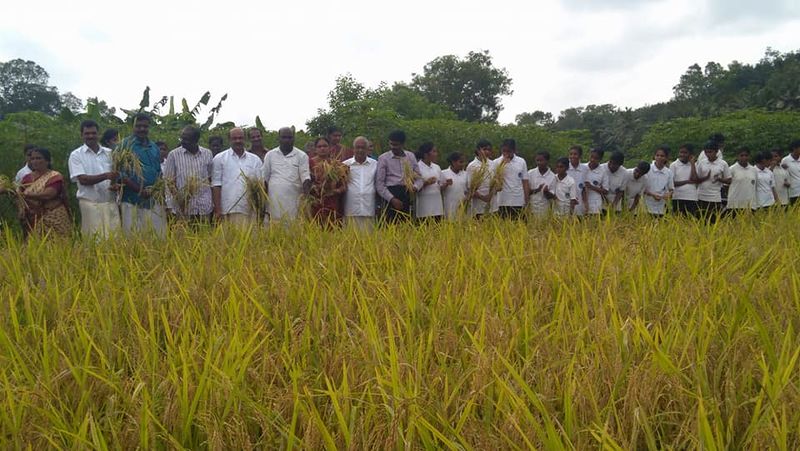 പ്രമാണം:42021 56745.jpg