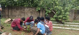 42069 ghss nagaroor environment day 2618.jpg
