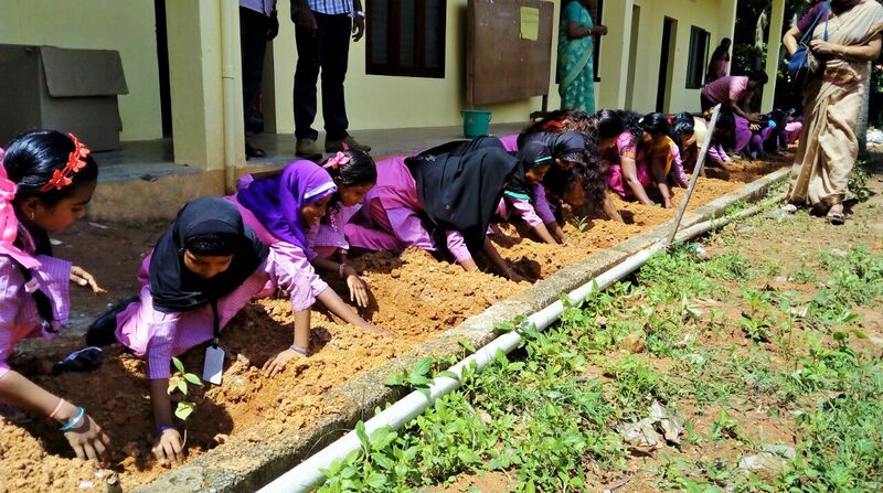 പ്രമാണം:44049 eco.jpg