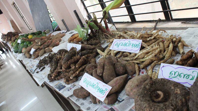 പ്രമാണം:44050 22 9 5.JPG