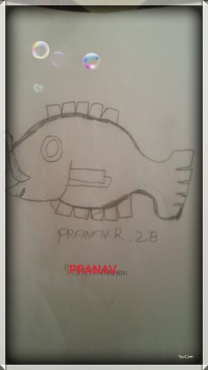 Pranav2.jpg