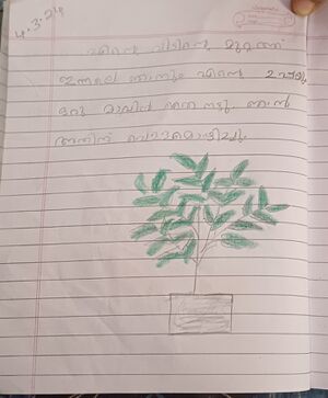 18466-MLP-KUNJ-AMAN HADI.jpg