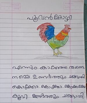 18528-MLP-KUNJ-Nadish Muhammed M.jpg