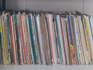 19413 LIBRARY 2.jpeg