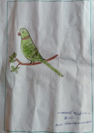 20332-PKD-KUNJ-KAIRAV KRISHNA U.jpeg