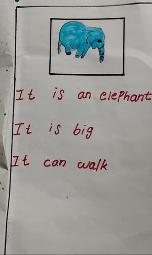 21228 pkd kunj mehrin.jpeg