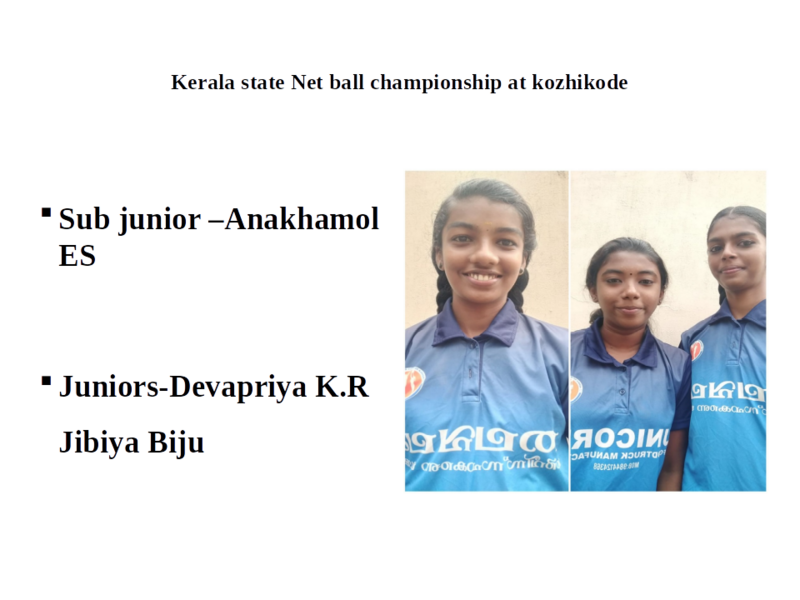 പ്രമാണം:33025 net.png