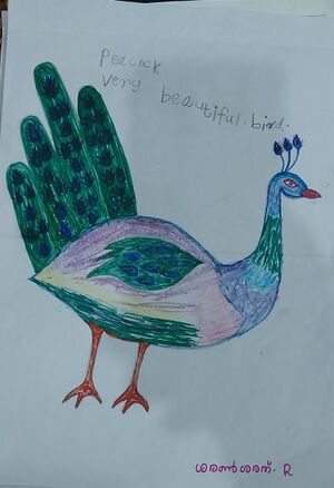 42246 TVM kunju Saran.jpg