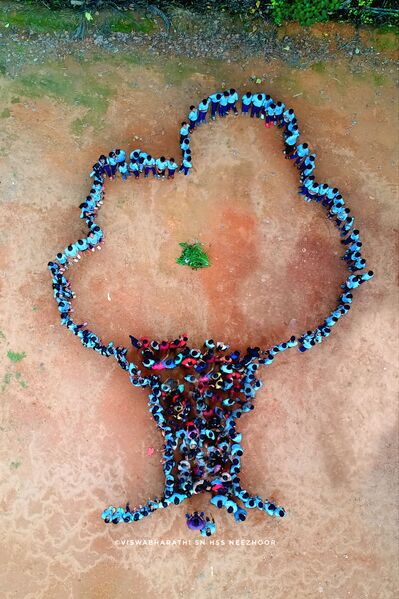 പ്രമാണം:45053 environment day.jpeg