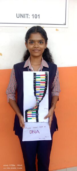 പ്രമാണം:DNA MODEL 4.jpg