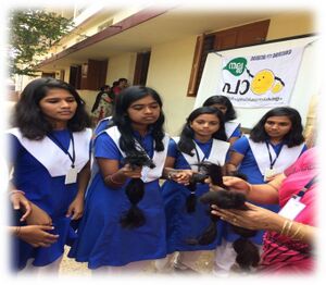 Hair 16 35052 (2).jpg