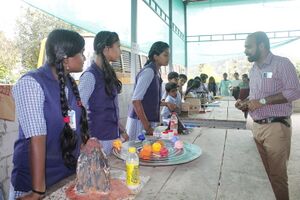 SASTHROLSAVAM EXHIBITION.resized.JPG