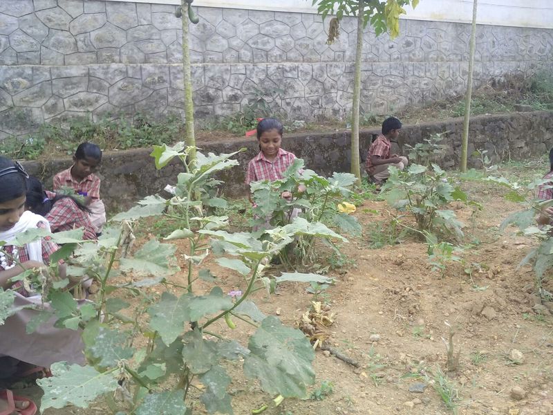 പ്രമാണം:Sslp.jpg 6.jpg