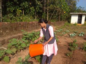 13121 karshika club 10.jpg