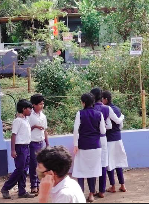 14040 butterflygarden.png