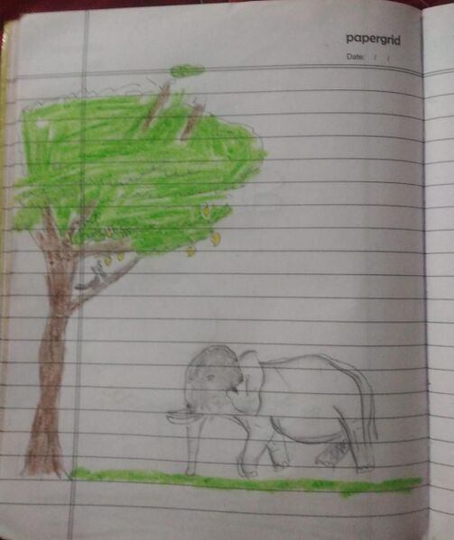 പ്രമാണം:15011-WYD-KUNJ-Avanika rajesh.jpg