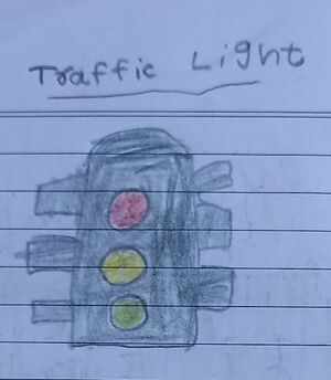 15477-WYD-KUNJ-RASIL MUHAMMED.jpg