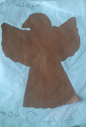 16305-KKD-KUNJ-MUHAMMAD NASEEF.jpeg