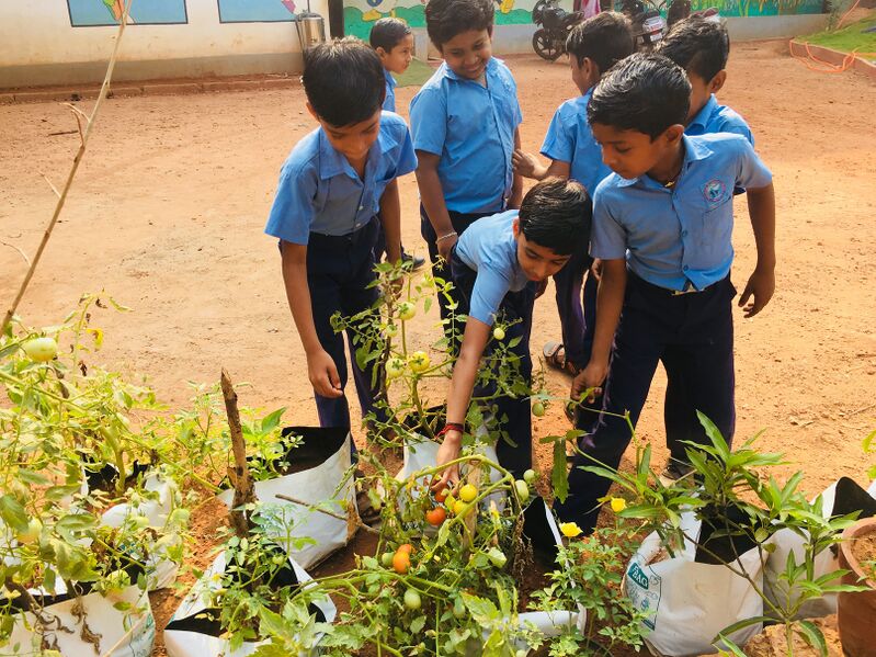 പ്രമാണം:16549-jaiva krishi7.jpeg