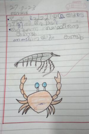 17539-KKD-KUNJU-AGNEY M.jpeg