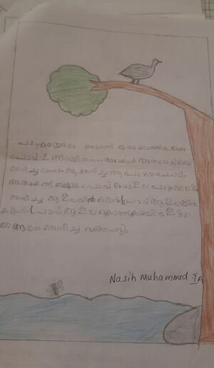18568-MLP-KUNJ-NASIH MUHAMMED.jpeg