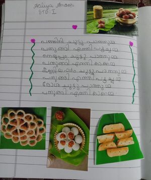 26007-EKM-KUNJ-AALIYA ANOOP.jpeg