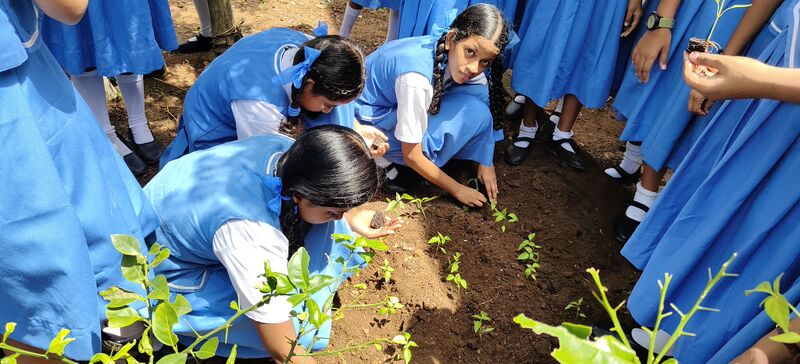 പ്രമാണം:26015 paristhidhidhinam 5.jpg