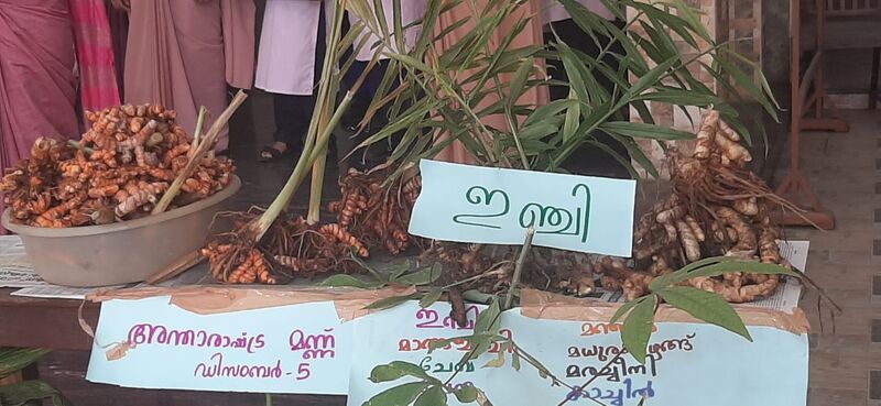 പ്രമാണം:26058 3.jpeg