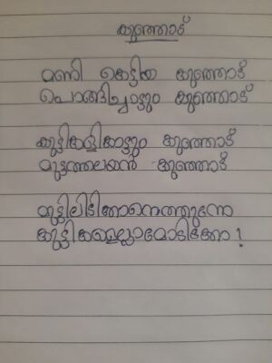 28053-EKM-KUNJ-Nasrin A N.jpeg