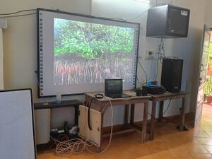 43431 mangroveday celebration .jpg