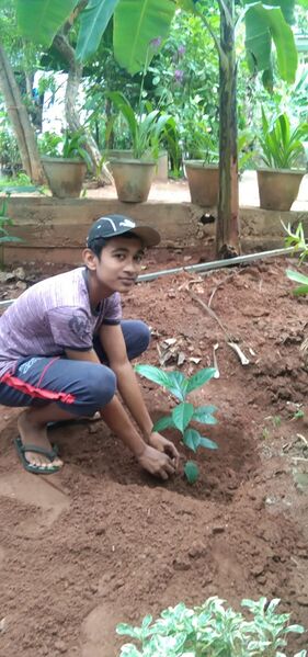 പ്രമാണം:44050 eco 46.jpeg