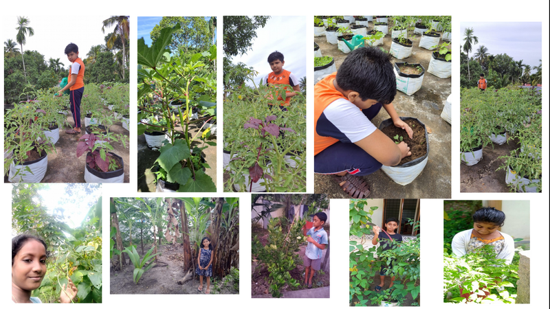 പ്രമാണം:Ente krishi skv.png