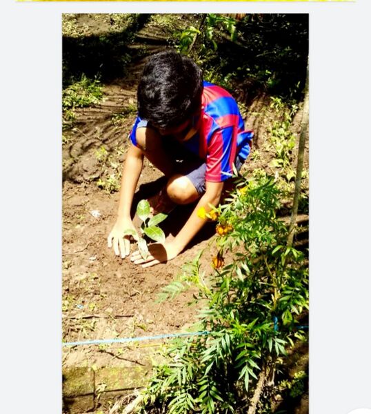 പ്രമാണം:June 51.jpg