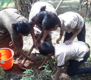 Screenshot from 2022-01-29 21-47-55.png